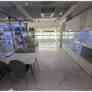 도그마루 고양이 강아지 무료분양 이미지