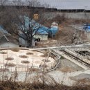 창녕축산 이미지