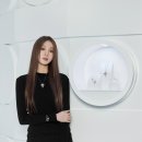 다미아니 카카오 검색결과