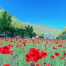 상동읍 cu맞은편 이미지