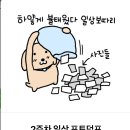 아이그라운드 이미지