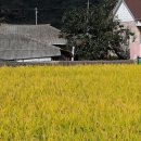 봄여름가을 이미지