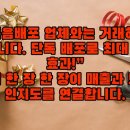 한마음전단