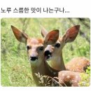 홍승희헤어샵 | 서른일기_0124