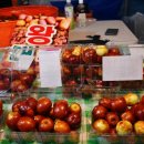 햇빛촌 농원 이미지