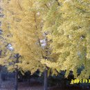 어유중학교 이미지