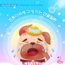 조이고양이병원x조이강아지병원
