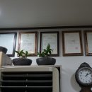 맑은수정약국 이미지