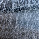 코스트코 천안점 이미지