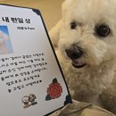 바둑이연구소 네이버블로그