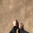 남하초등학교 이미지