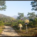 부부슈퍼마켓 이미지