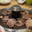 인터팜(주) | 무료한 삶.. 도파민 한스푼 우땨땨?