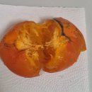 감미음식 | 달달한 감미인 청도반시 선물 받아서 먹어본 후기