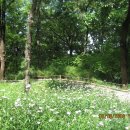 오금공원 이미지