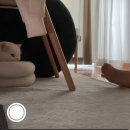 이브닝 스트레칭 요가 이미지