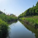 선주원남동 행정복지센터 이미지