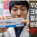 웰빙프라자약국 이미지