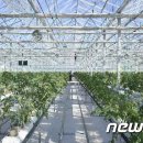 충성농장1 이미지