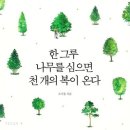 나무한그루책