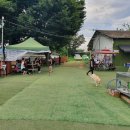 경북애견 이미지