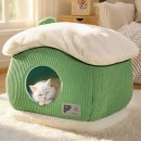 애견의 집 이미지