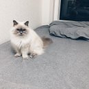 제이엠 동물병원 이미지