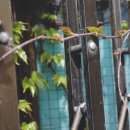 초원약국 이미지