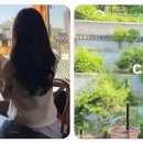 멍스팟 | 서울에 이런 곳이 있었어? 초록뷰 미친 숲멍 카페·힐링스팟 7