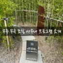 무곡2 | 무주 무곡 조식 사우나 수영장 다도체험 이끼물주기 체험 후기 2