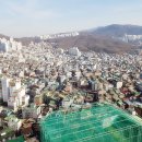 뉴롯데공인중개사사무소 이미지