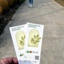 힐링에세이+ 숲(영흥수목원) | 🍁 가을 힐링 명소! 수원 영흥수목원에서 만끽한 단풍과 푸른 생명의 조화 🌿