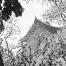 바보온달 이미지