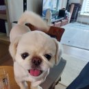 과천우주동물병원