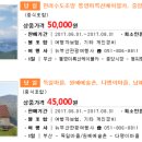 뉴부산여행사