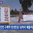 돼지농가