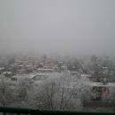 똘레랑스 이미지