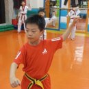 성웅태권도 이미지