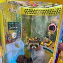 오케이안경마트 이미지