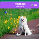 문제와정답
