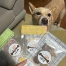 도몽다옹 이미지