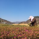 한철농장 이미지