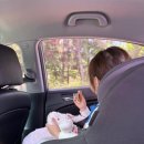 스테이숲숲 이미지