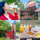 쌍봉동 주민센터 | 여수 시장 구경 진남시장 맛집 먹거리 웅천친수공원 피크닉 준비물