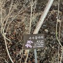 꽃다리슈퍼 이미지