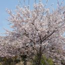 우룡산공원 이미지