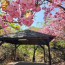 강변사리캠핑장 | 강과 산이 그리고 벚꽃과 단풍이 있는 문경 미산가족오토캠핑장 하우스캠핑3 내돈내산 후기 + 캠핑음식