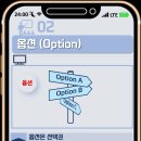 옵션(OPTION) 이미지