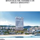 일동미라주 이미지