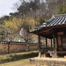 대구 언택트여행지 추천 첨백당 불로동고분군